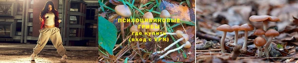 гашиш Алексин