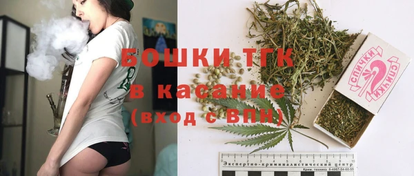 стафф Новодвинск