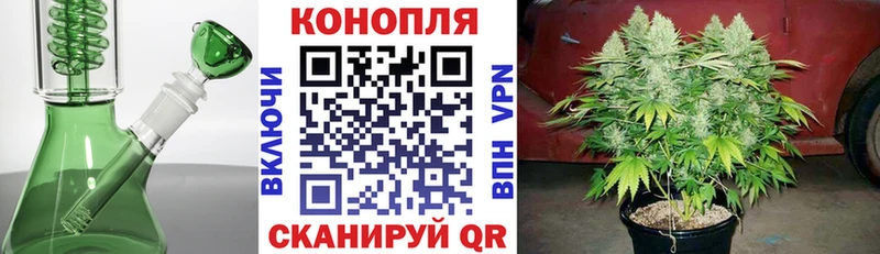 МЕГА ONION  Стародуб  Марихуана OG Kush 